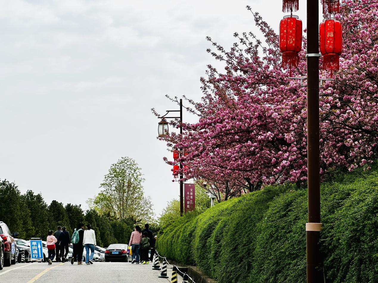 微信图片_20260405122123_50_37