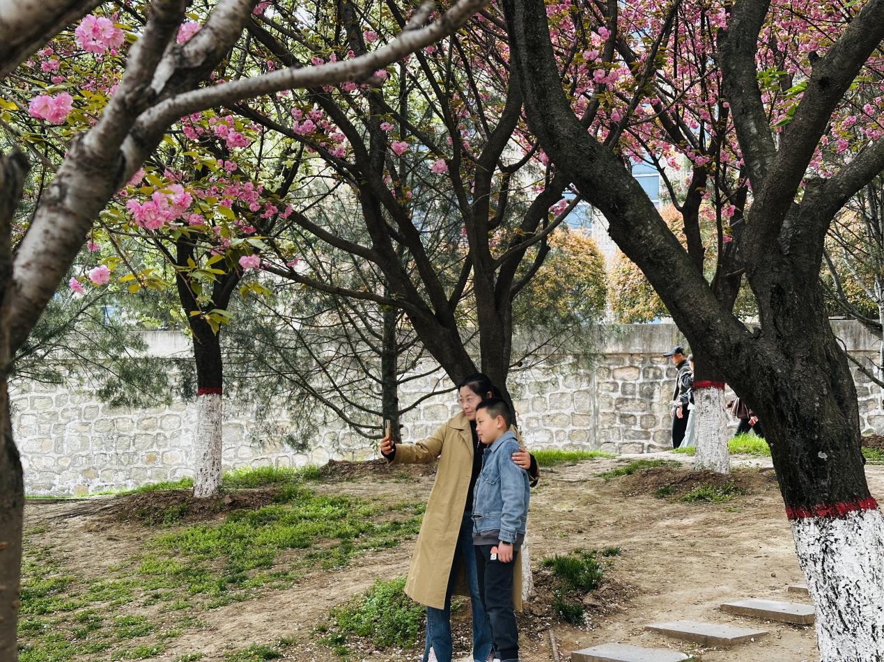 微信图片_20260405122126_51_37