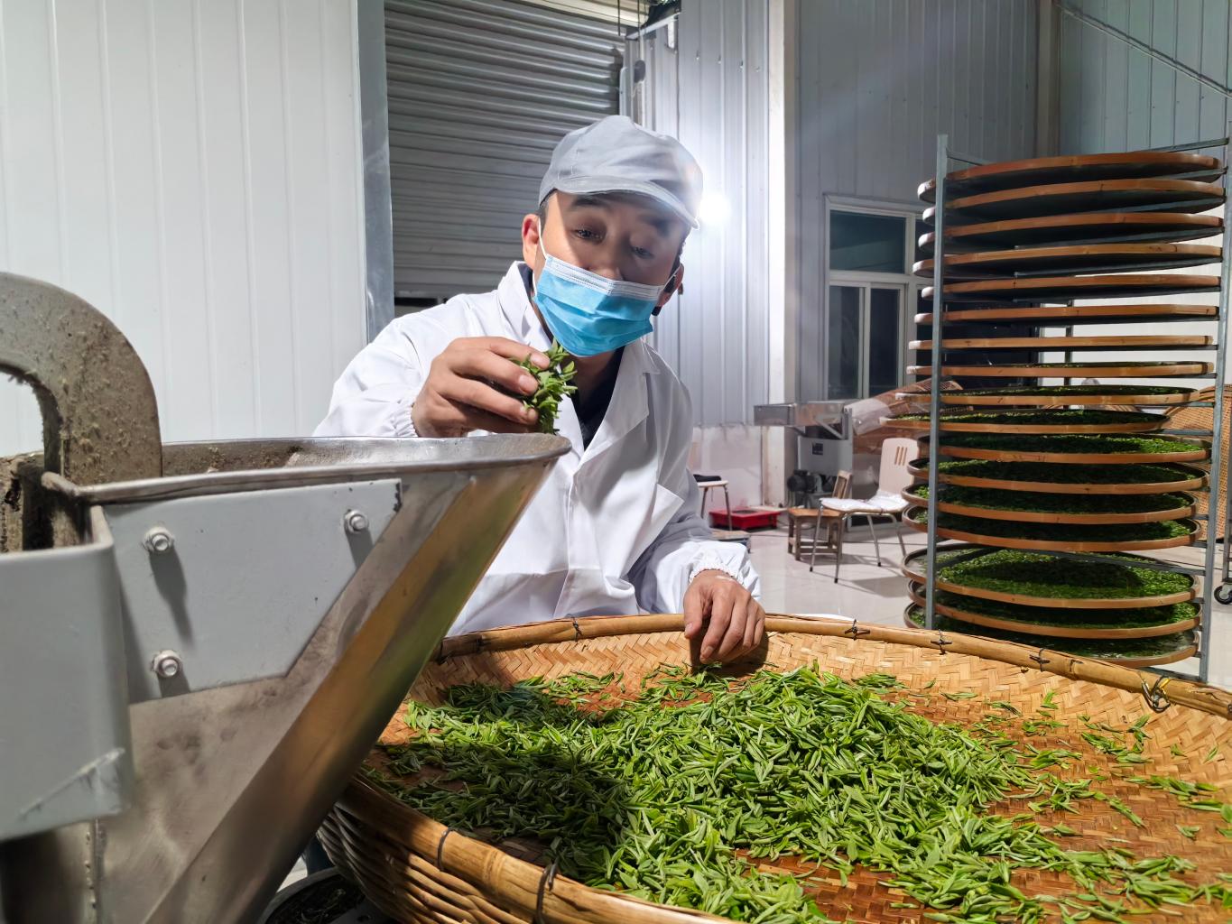 20260407162655422-62-e6c80.jpg_scale.jpg 20260407162655422-62-e6c80.jpg_scale.jpg