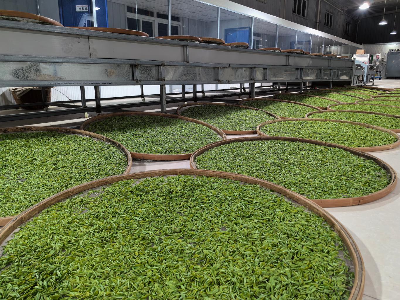 20260407162714967-11-f3a53.jpg_scale.jpg 20260407162714967-11-f3a53.jpg_scale.jpg