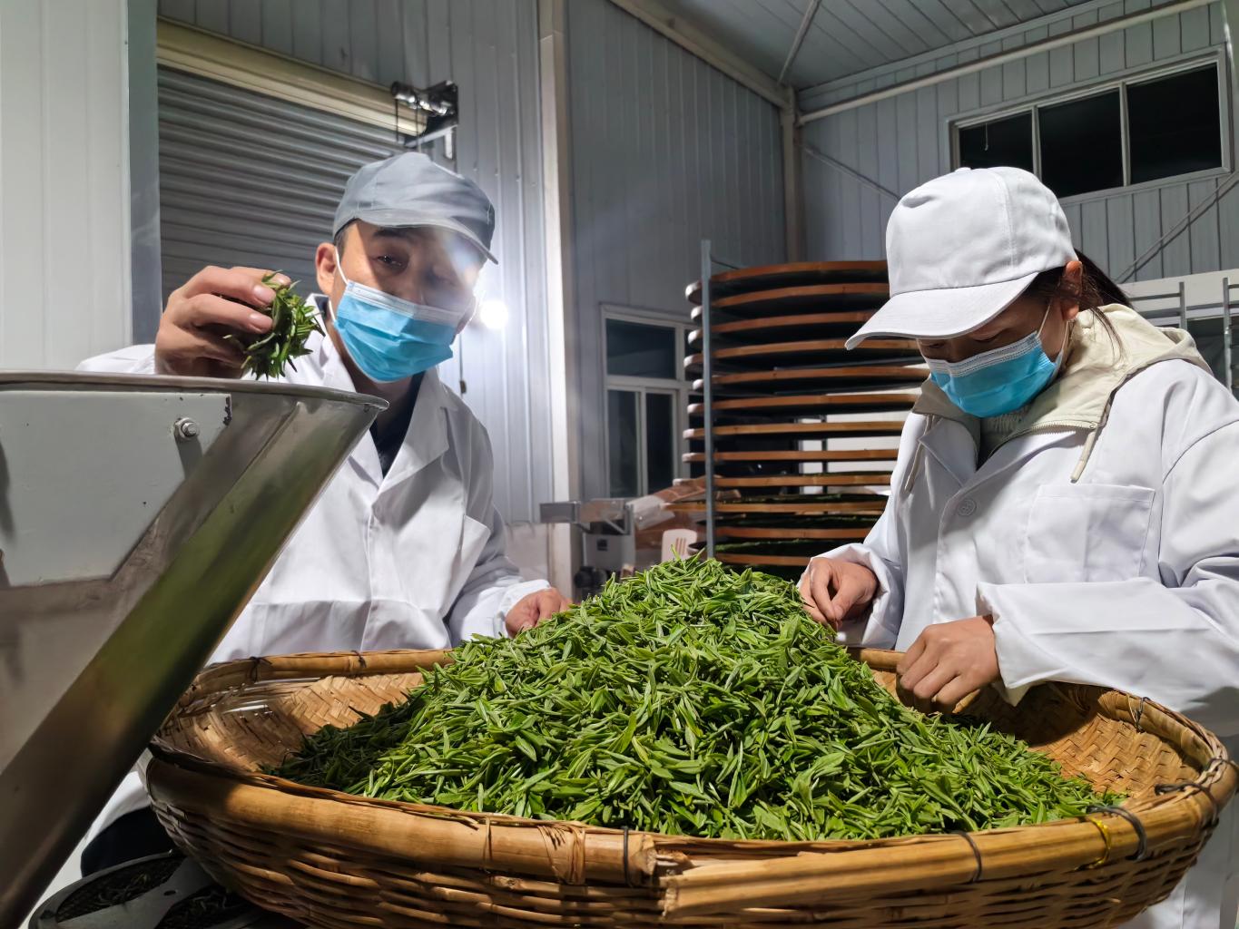 20260407162730927-46-f9317.jpg_scale.jpg 20260407162730927-46-f9317.jpg_scale.jpg