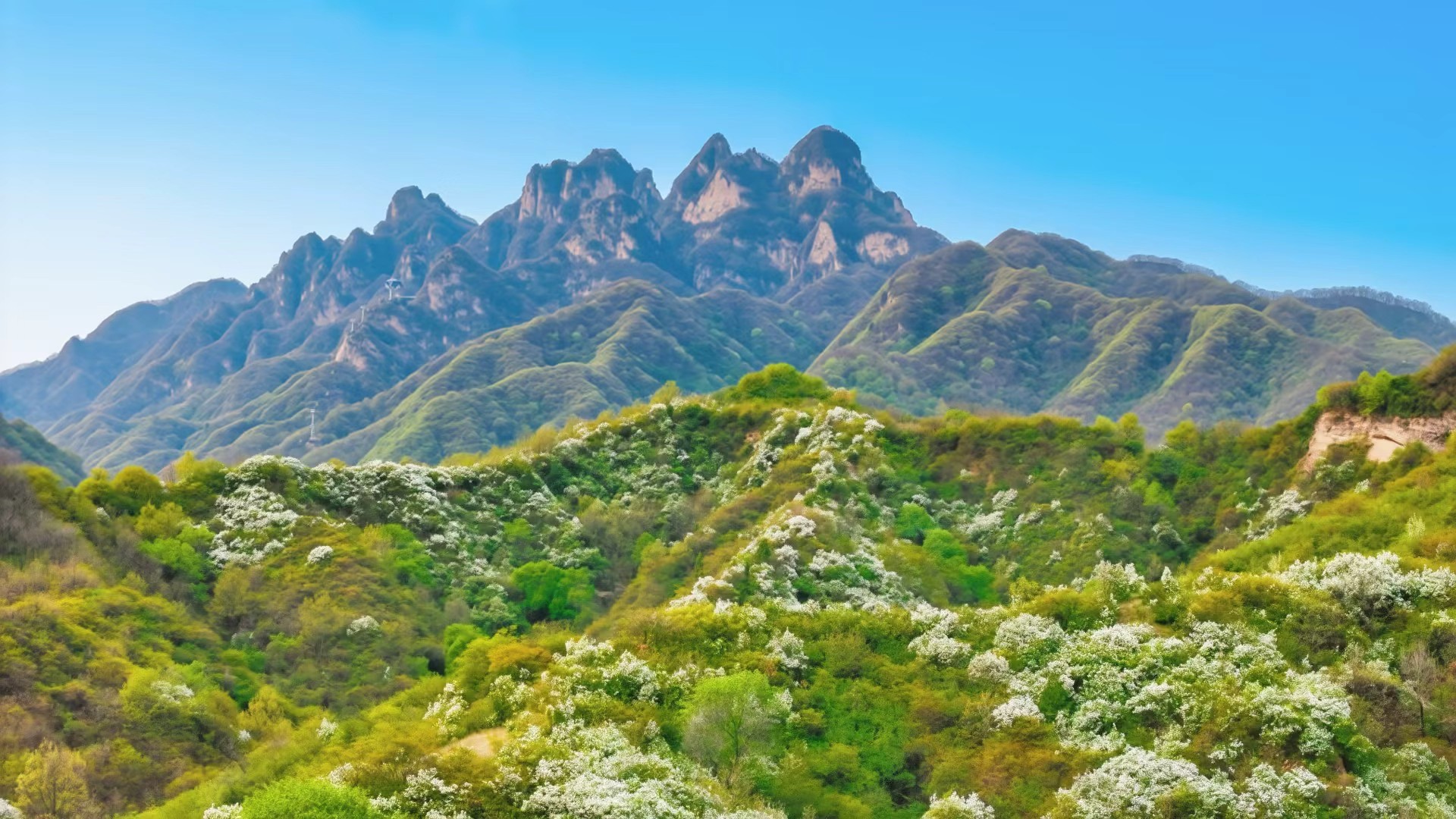 20260414090803934-96-0ce6f.jpg 20260414090803934-96-0ce6f.jpg