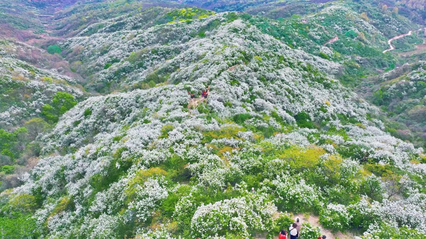 20260414090804199-48-bce0a.jpg_scale.jpg 20260414090804199-48-bce0a.jpg_scale.jpg