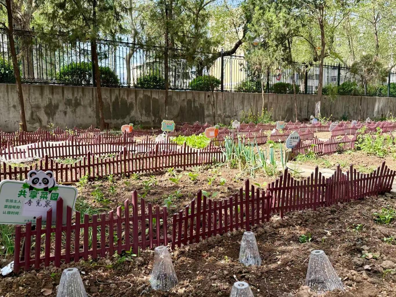 20260414091201892-18-851e9.jpg_scale.jpg 20260414091201892-18-851e9.jpg_scale.jpg