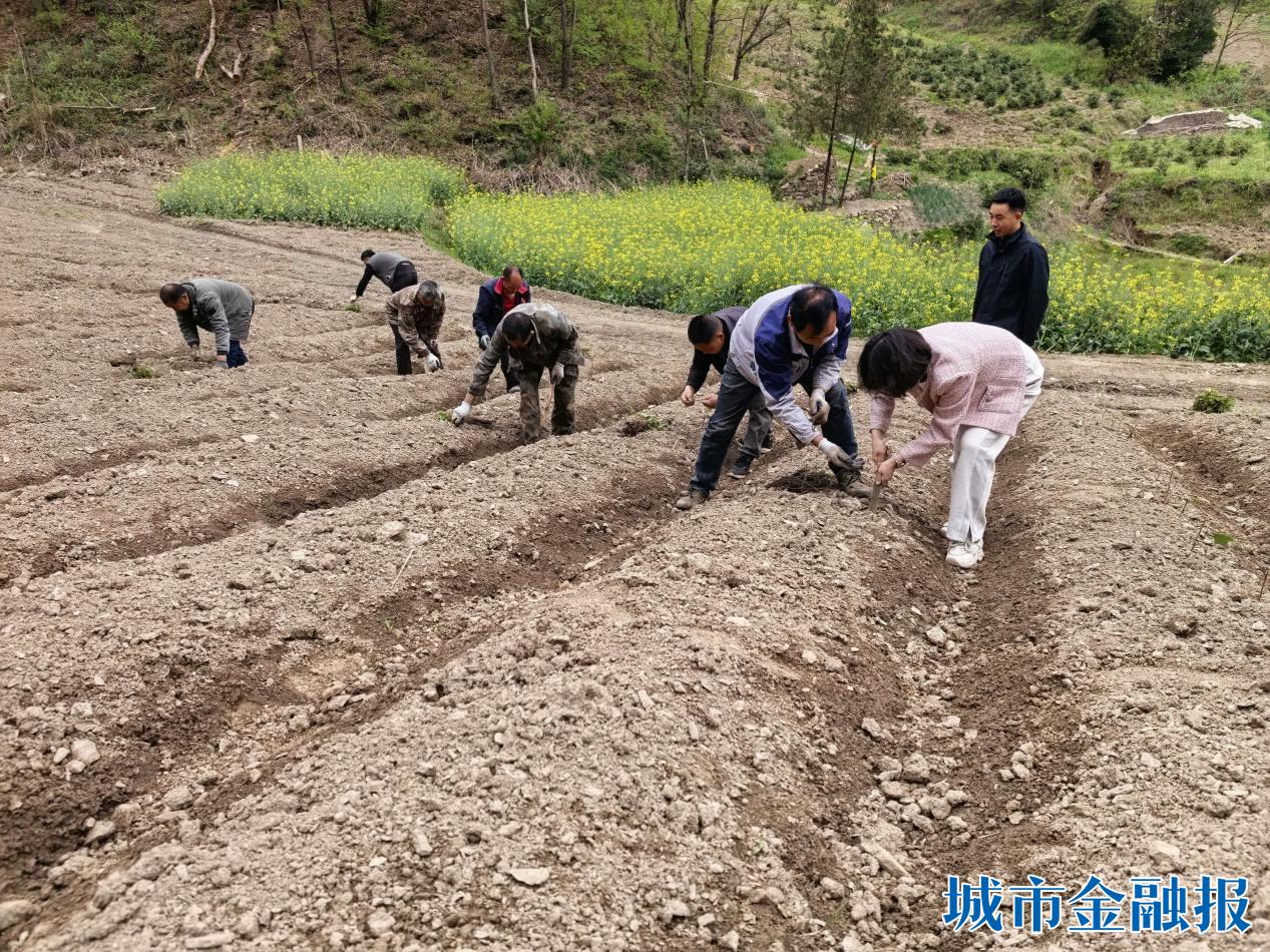 e0a894e6cc39ace2aa2960f75675d47