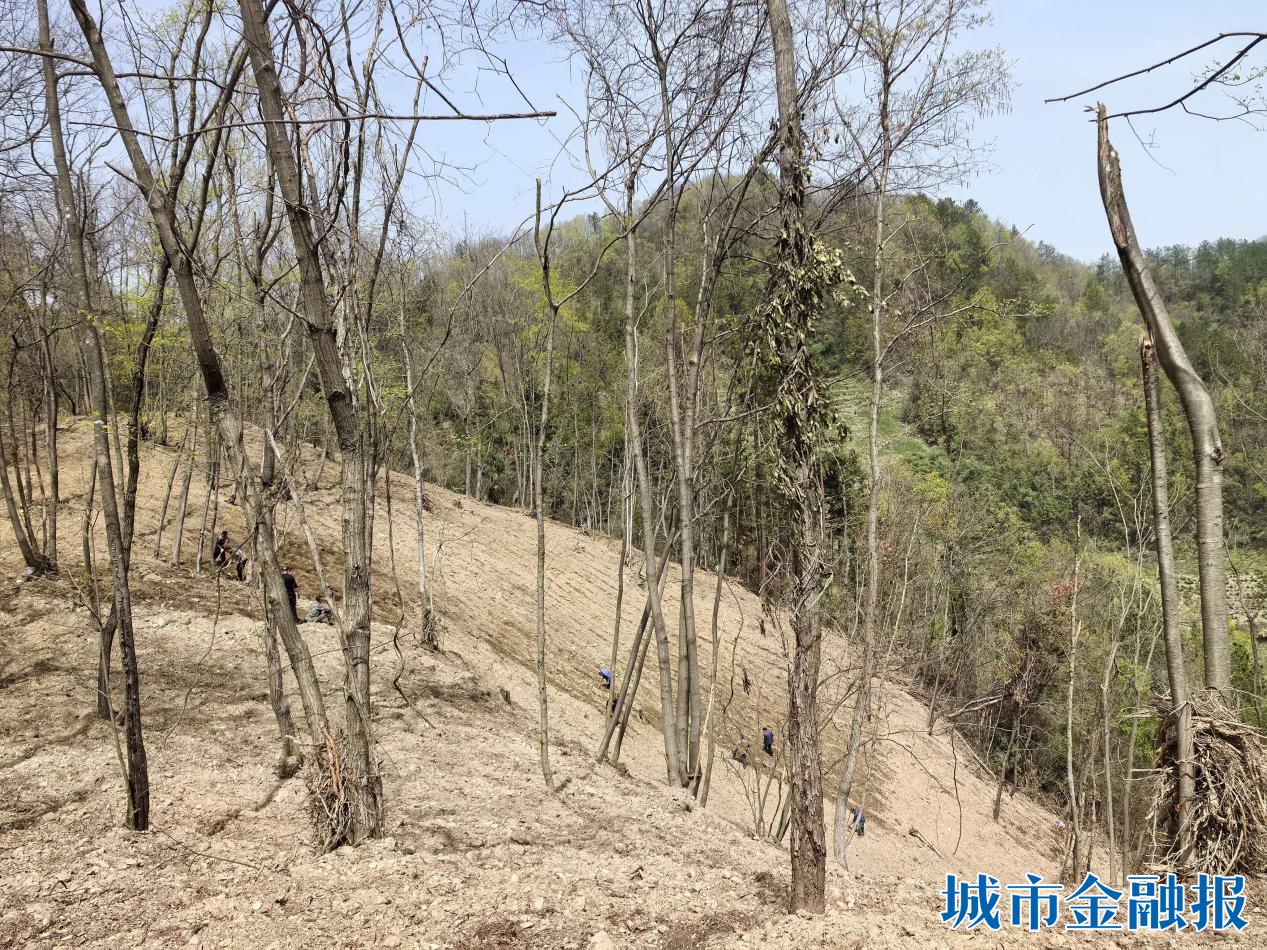 b54558492fd97aa7c5344b7e54481ec