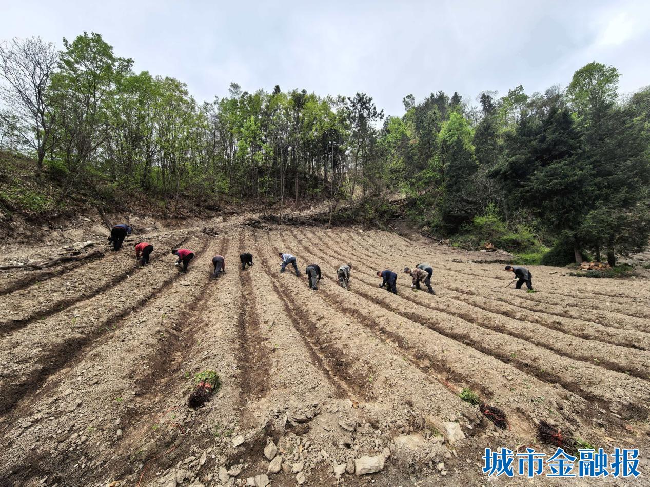 878c3c88e8a3ed487e2fb373cf946ee