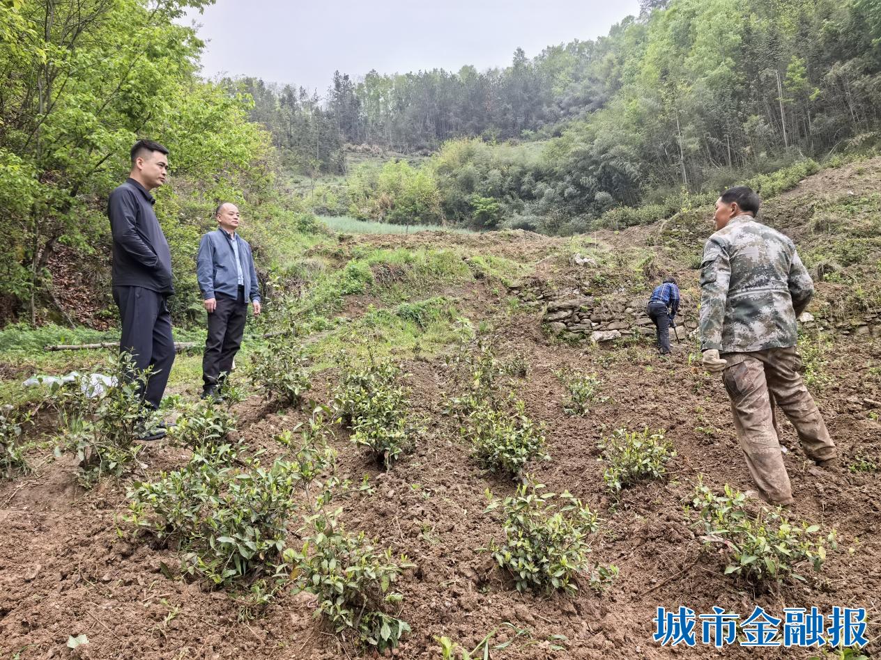 668422912d55bcd1c87af0bcf967aa2