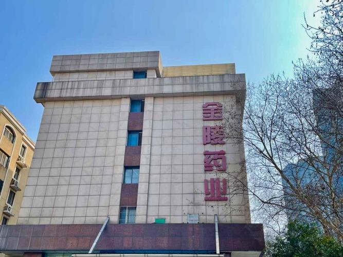 金陵药业股东会见闻