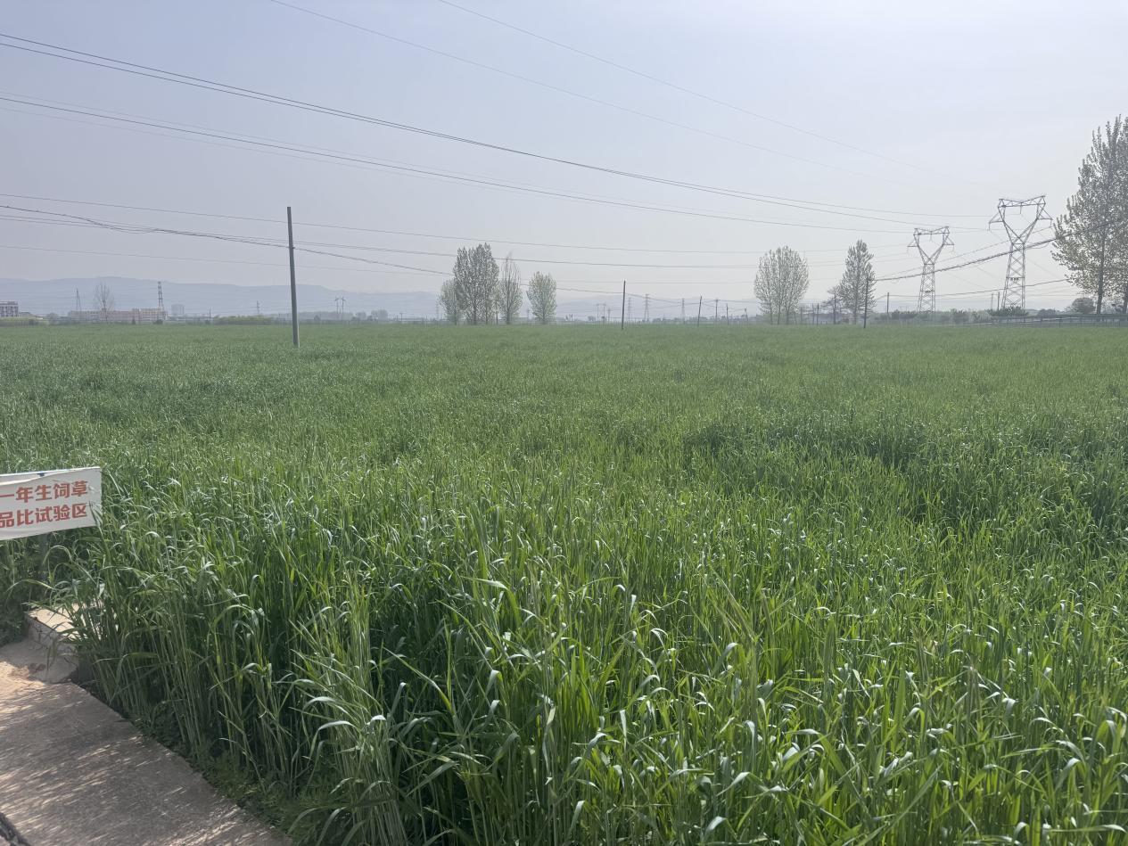 8e31f49c9f22dbfeb67988950185b69d