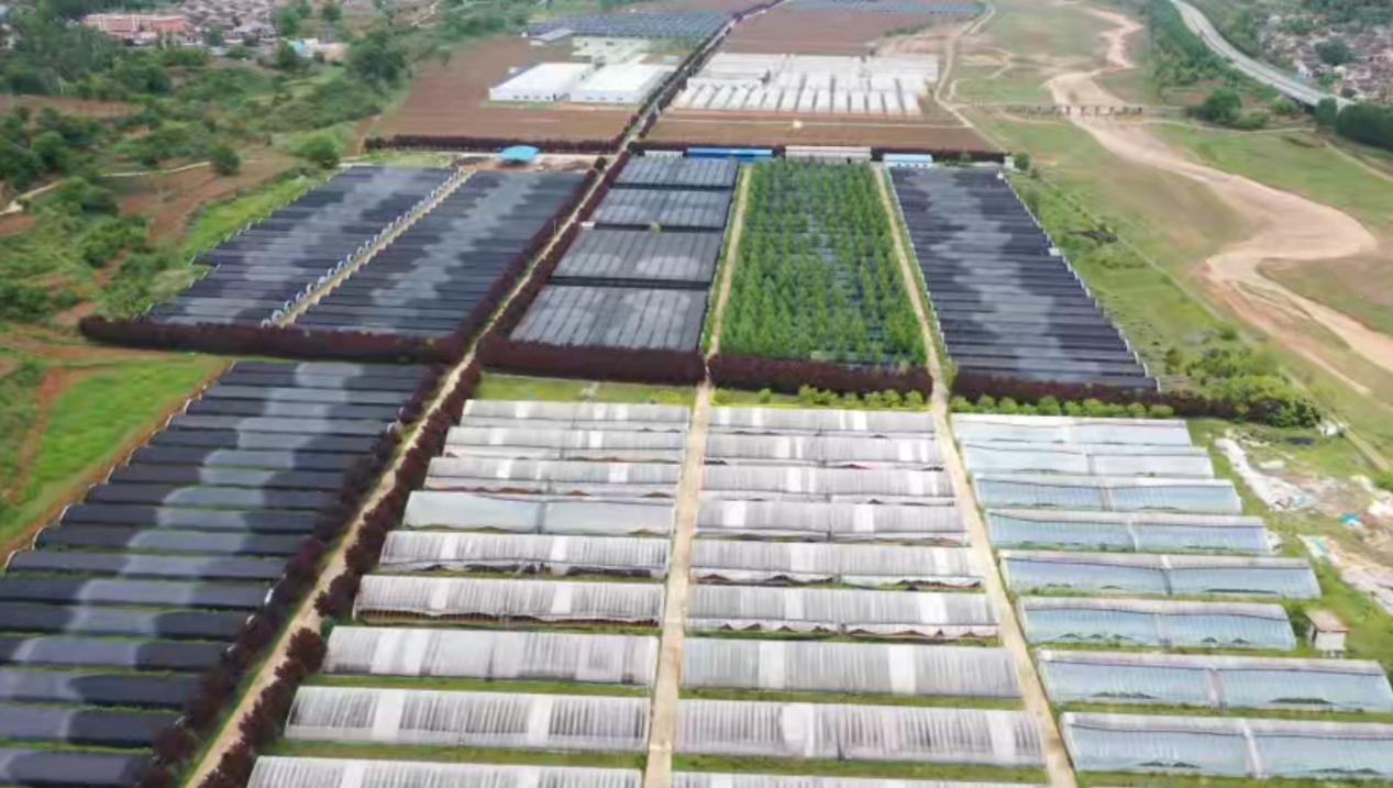 598b207fd9b0ed9365324cd6cf8e6c8b