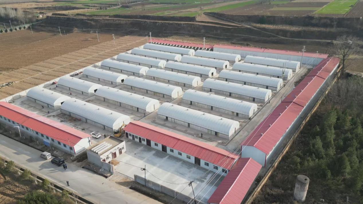 de391a79d94e122f14f27000aeb5185d