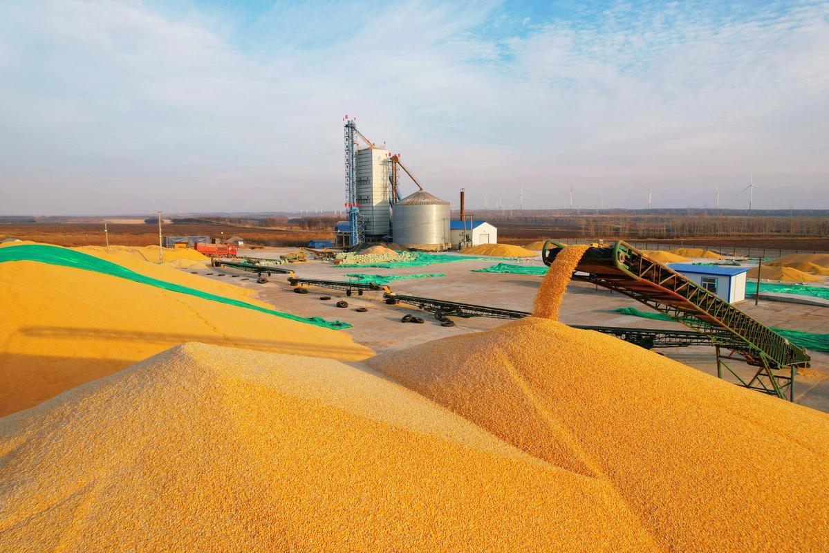 范丞丞们剩饭引众怒,背后藏着14亿人的粮食危机!