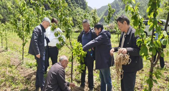 微信图片_20260427110518_221_123