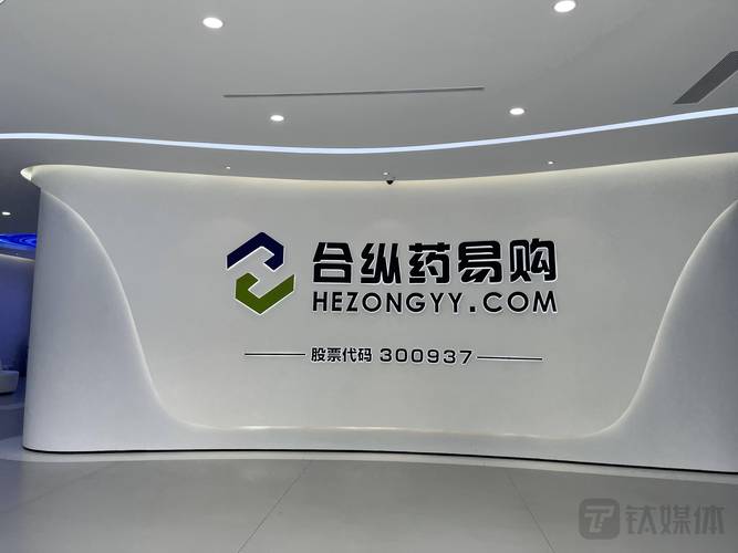 药易购:从高管"大换血"开启变革