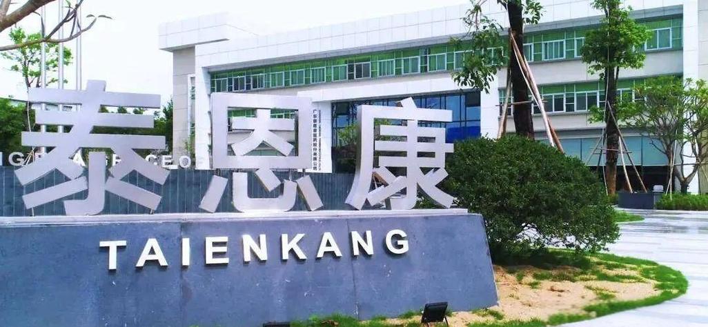 泰恩康医药的创新发展与市场挑战