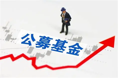 公募机构积极布局岁末年初市场，科技成长板块备受青睐_中金在线财经号