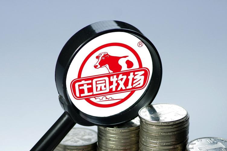 智泽华文库2023年上半年财务分析详细报告