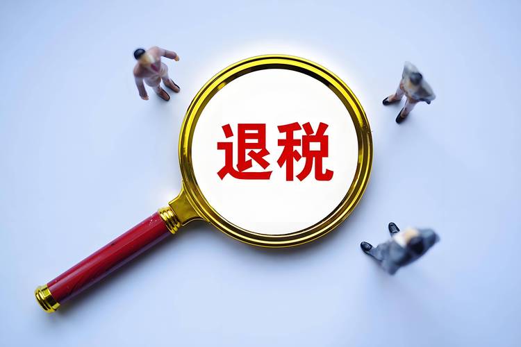财政部,税务总局联合发文!2025留抵退税政策三大变化速览
