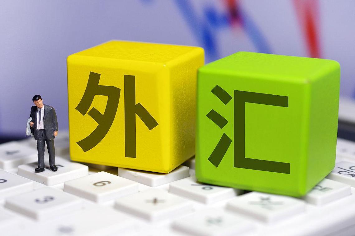 外汇入门指标 外汇市场是全球最大的金融市场之一,为了在这个市场中