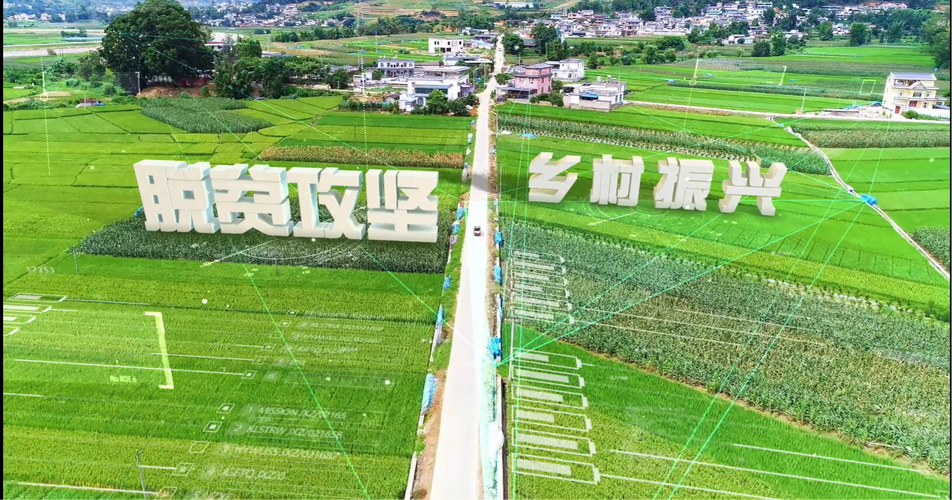 "津诚所至,协作同甘",续写东西部协作新篇章!