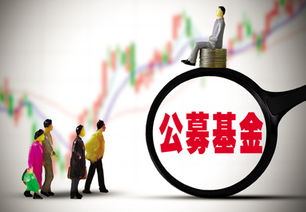 科恒股份飙涨推手曝光 20只公募基金重仓买入