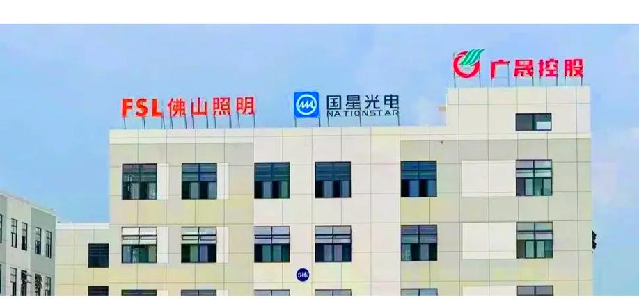 佛山照明与国星光电高州基地投产,照亮未来