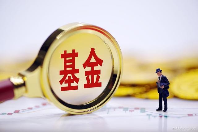 两只基金一只跌得多,一只估值低,应该先补哪个