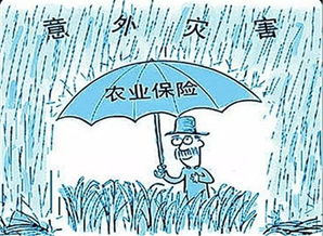 天灾人祸农民流下辛酸泪,农业保险如何撑起 保护伞