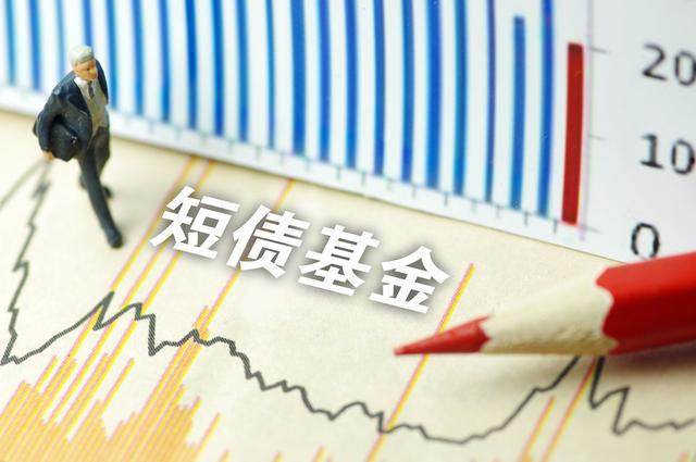 货基增强版 的短债基金了解一下