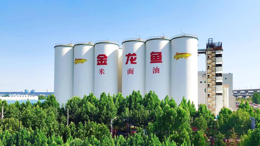 金龙鱼发布上半年业绩:营收净利双增,与胖东来等深化定制产品合作