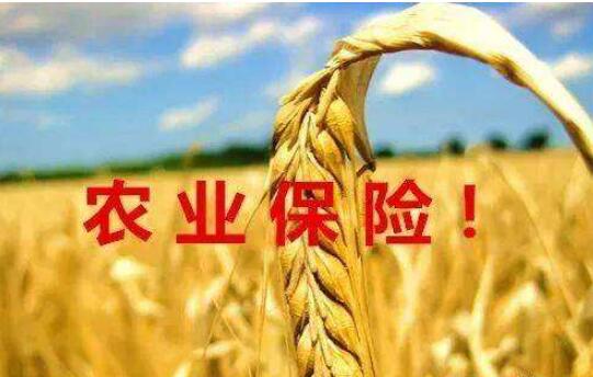 保险业监管半年考 罚金1.33亿 9家机构领超百万大罚单