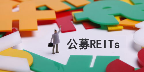 3只公募reits同日更新动态 2只获批1只启动扩募