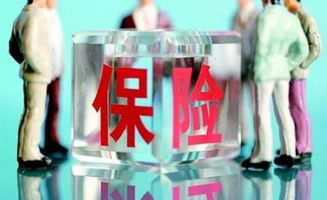 加拿大签证中心网站