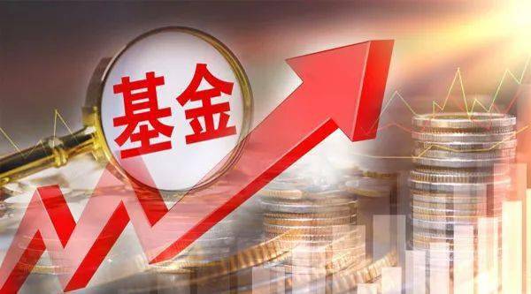 什么神仙基金 3年爆赚81倍,净值曾一天飙涨48倍, 秒杀 王亚伟 大户为何都爱这类基金