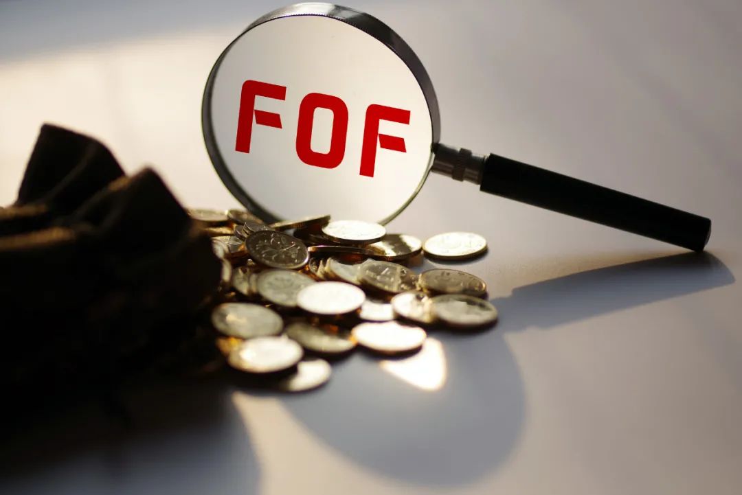 揭秘FoF基金行业发展路径__财经头条