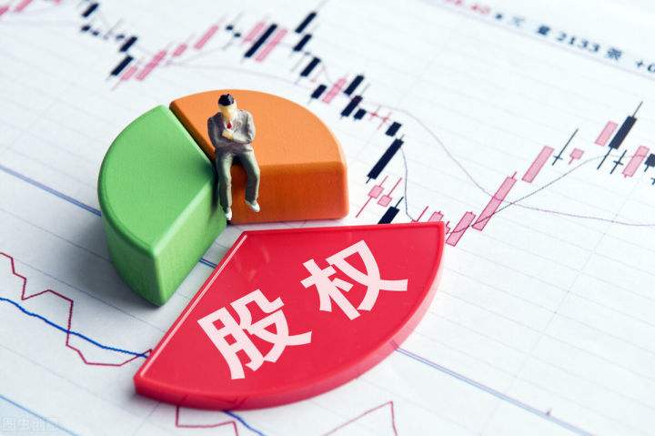 上海律师-有限责任公司股东持股比例及对应的股东权利