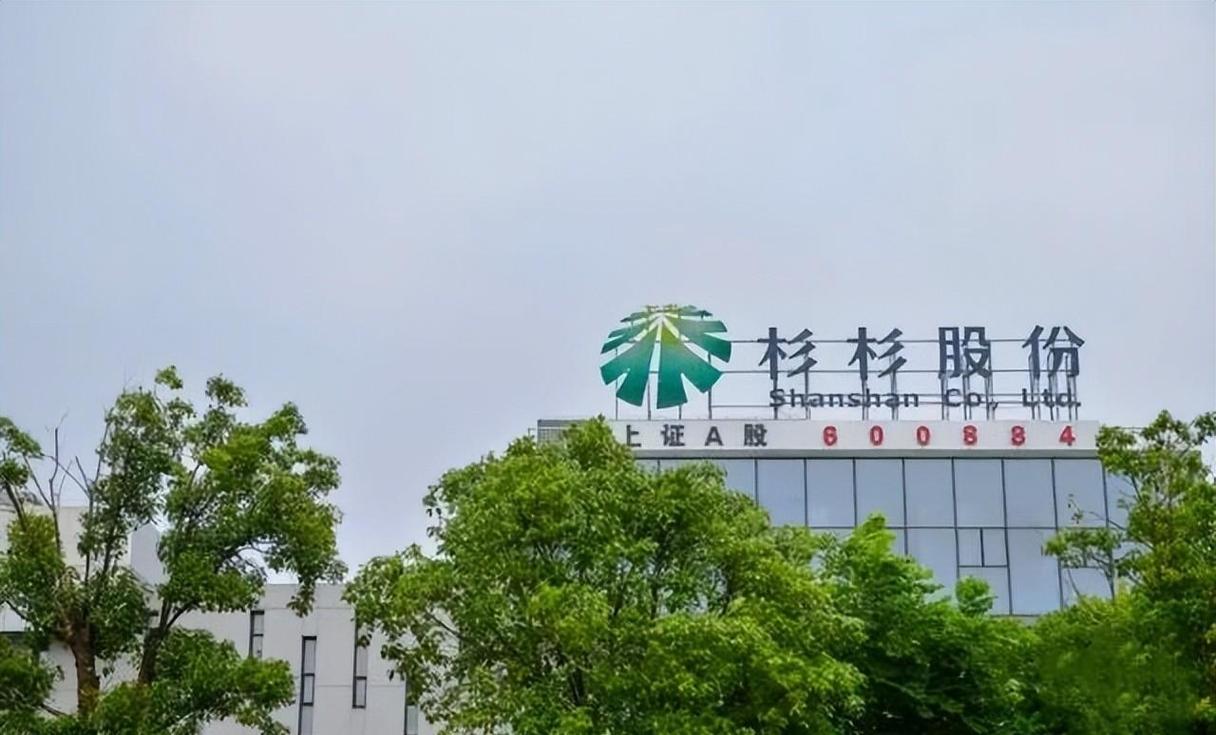杉杉股份双主业高增长背后:机构持仓为何大幅减持?